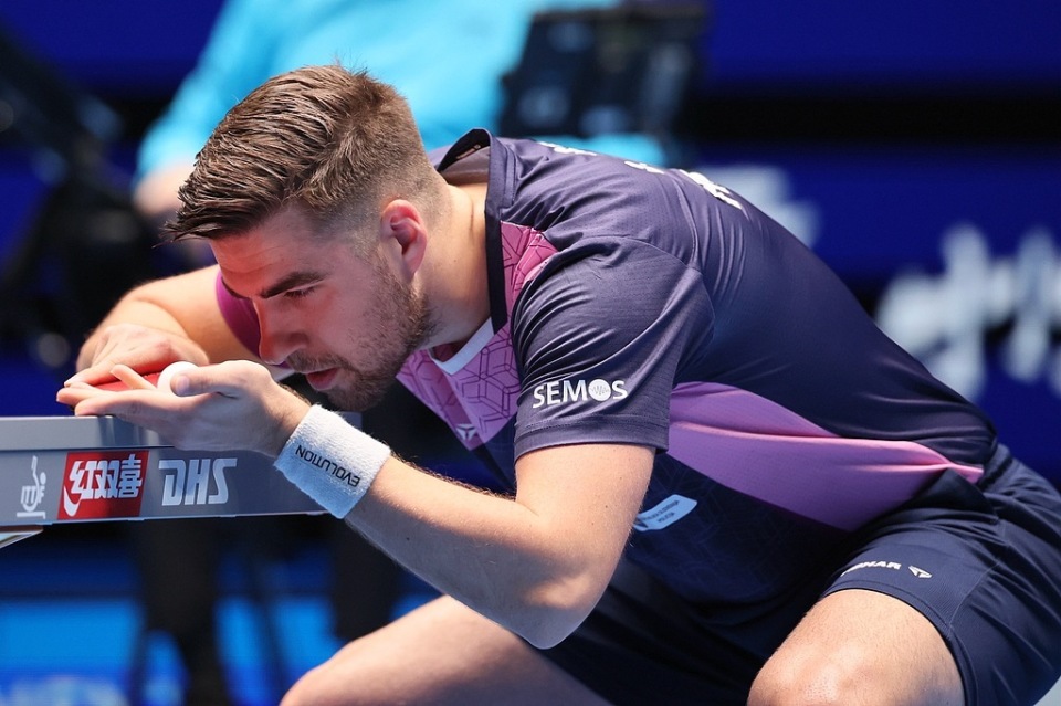 家园决定成 家园决定成